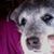 Josie Pickles