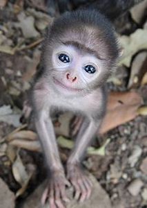 Мария Иванова