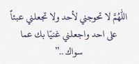 محمد القشاش
