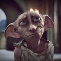 Lara Potter