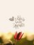 Reem Hagag