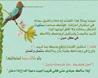 نور الإيمان