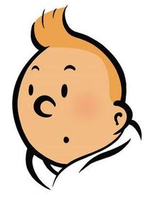 Johan Wikström Schützer