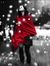 Shameem...