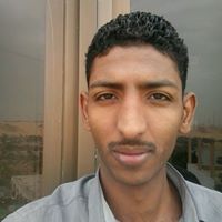 محمد محمود