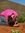Louise Geldenhuys | 1 comments