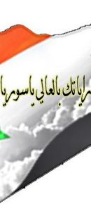 سامي ال علي