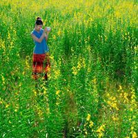 มือนางมาร เซียวเหล่งนึ่ง