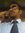 Ahmed S...
