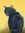 Cinderpelt
