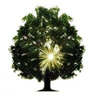 Чынгыз Ибраимов