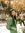 Reem Hasan