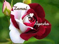 Zemal Ayesha