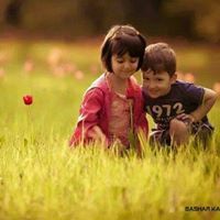 Alaa A.
