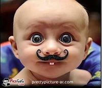 الدماصى حبيب احمد حسن