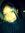 Rachell...