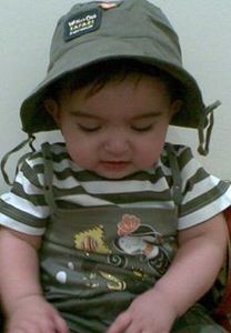 الياسمين الدمشقي