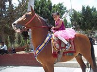 عبدالكريم العقاب