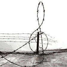 ضُـحى  سُليـمان 