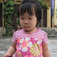 Kim Canh cut