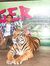 Hetansh...