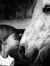 Dina Ahmed