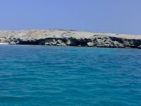 ماجد الحارثي