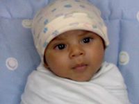 أنوار الزهراء