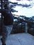 Shiyi Shen