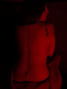 Sandra Zegarra o'donnell