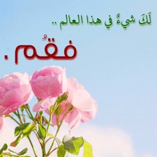 Du'a Alkhader