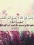 Shroq S...