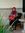 Ririn U...