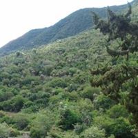 Neritha Grundling klue