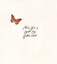 Eman Gamal