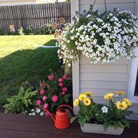 Lori Bacheller-mathis