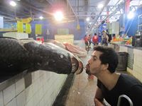 Igor Silva dos santos