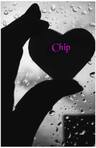 Chip