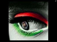 عبدالله الشحي