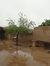 Ghulam ...