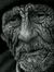 Ahmed M...