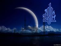 Heba Ahmed