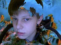 Daniel Gerard pedersen