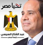 Tarek Mohamed