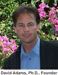 David Adams