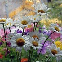 Deborah Hildebrandt