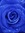 Blue (BlueEllie)