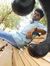 Sarath ...