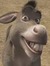 Donkey_22