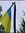Grigory...